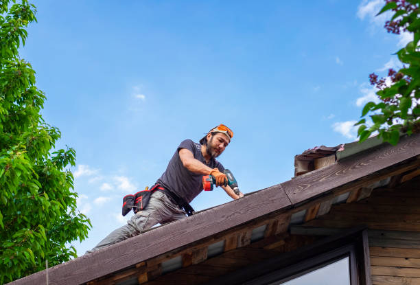 Best Roof Moss and Algae Removal  in Portage Lakes, OH